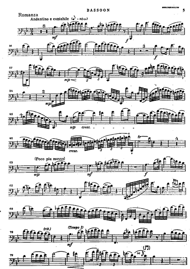bassoon