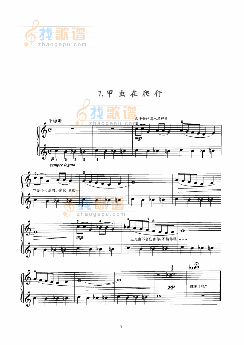 热带丛林中的一天