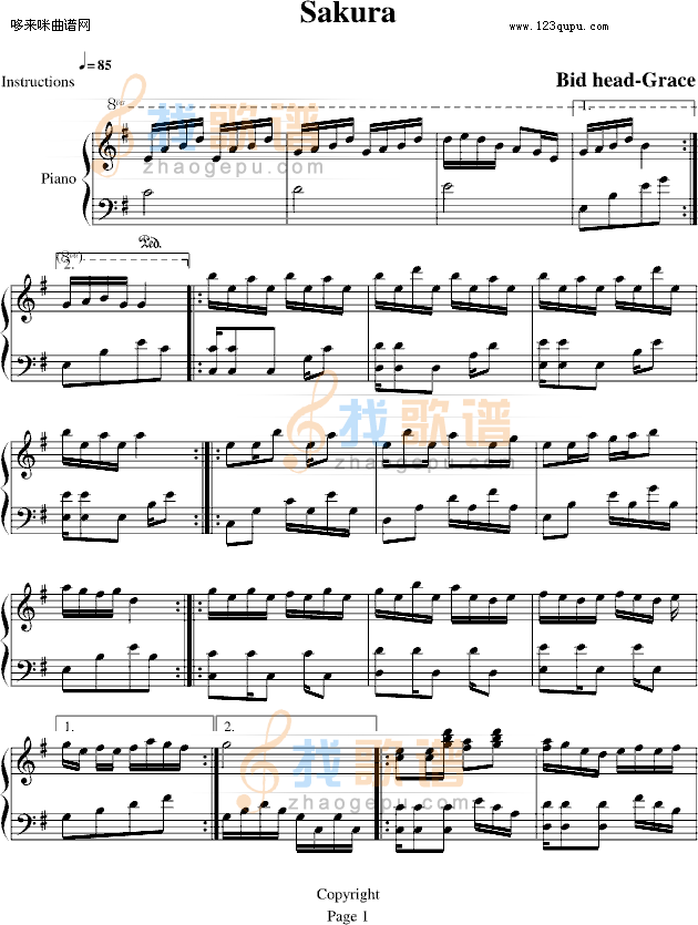 樱之初-大头Grace