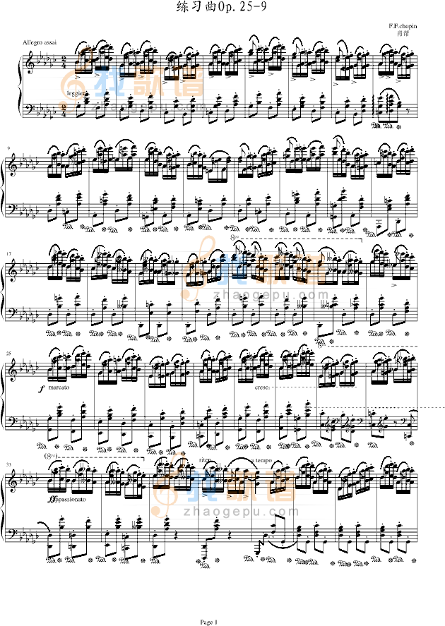 练习曲Op.25-9