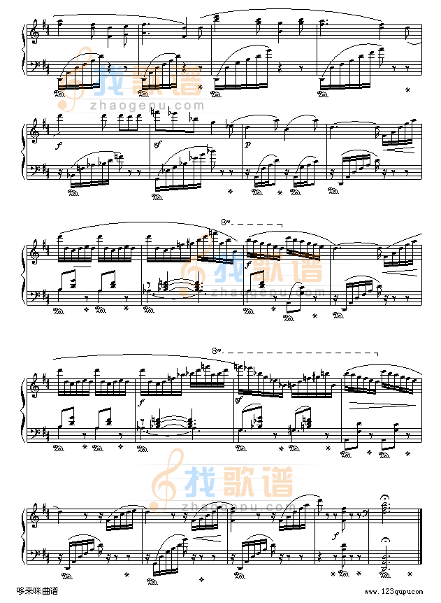 蝴蝶-默克尔