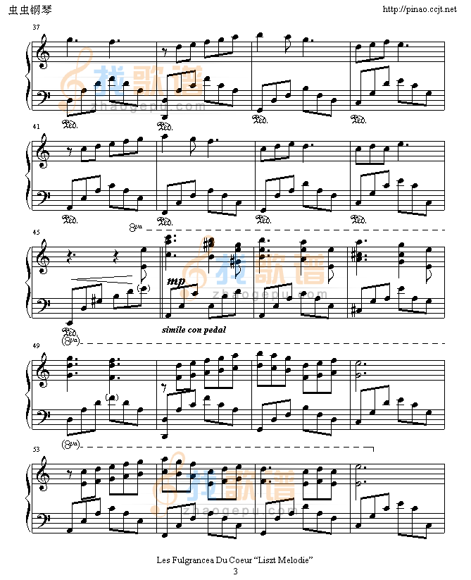 跃动的心