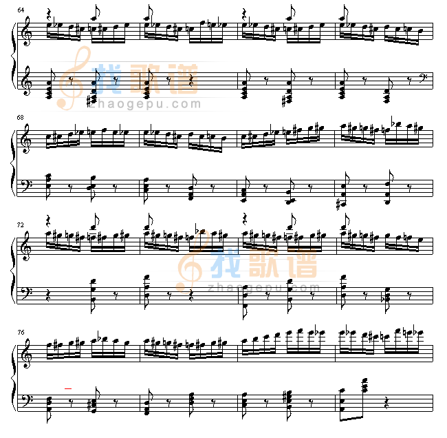 野蜂飞舞