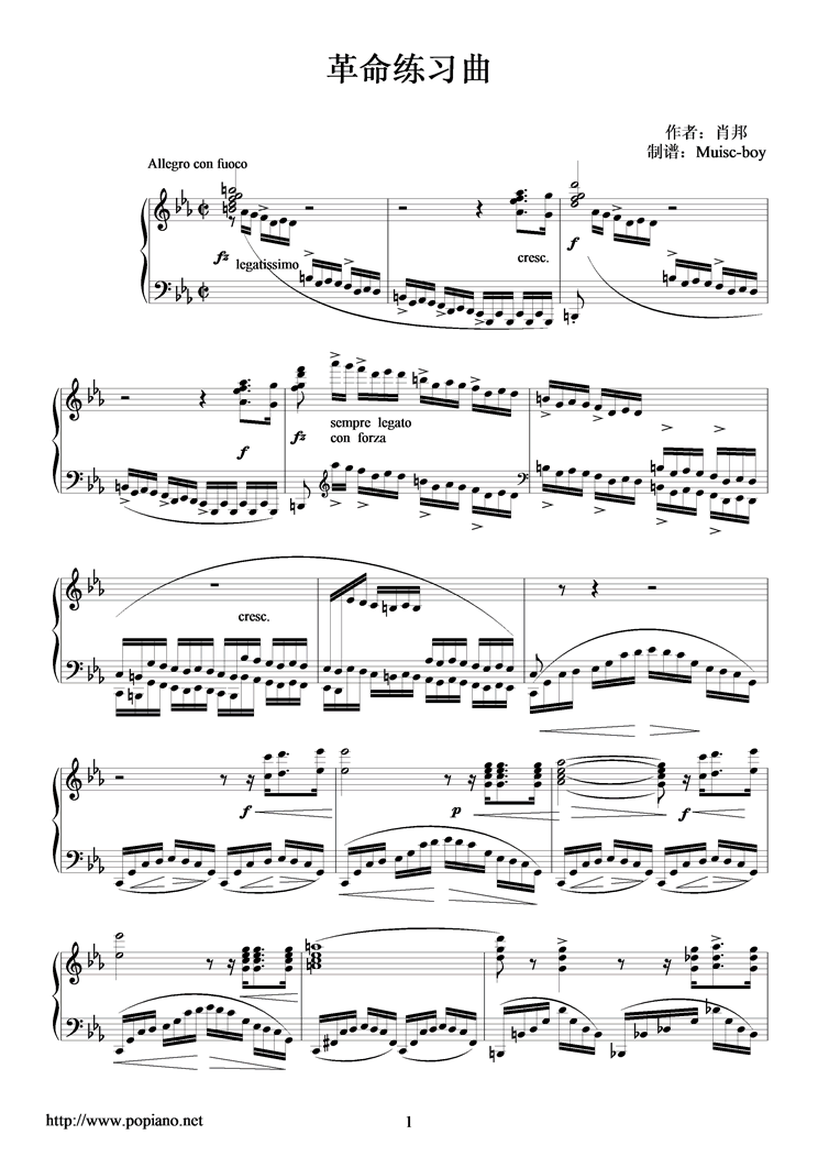 革命練習曲
