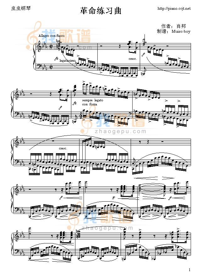 革命练习曲