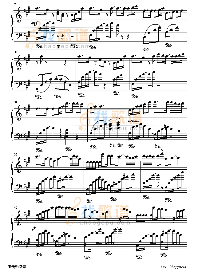 你是我的一滴泪-苏有朋