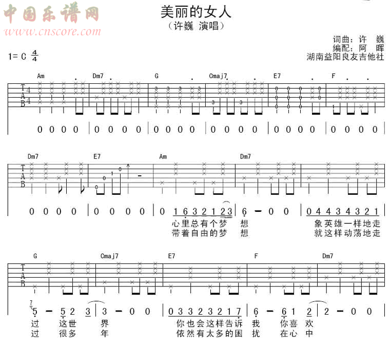 许巍美丽女人
