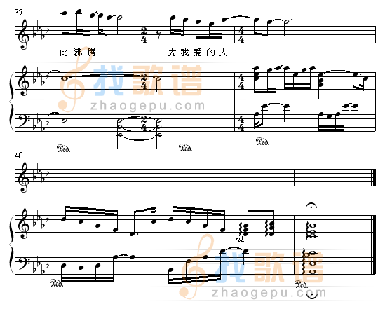 无条件为你