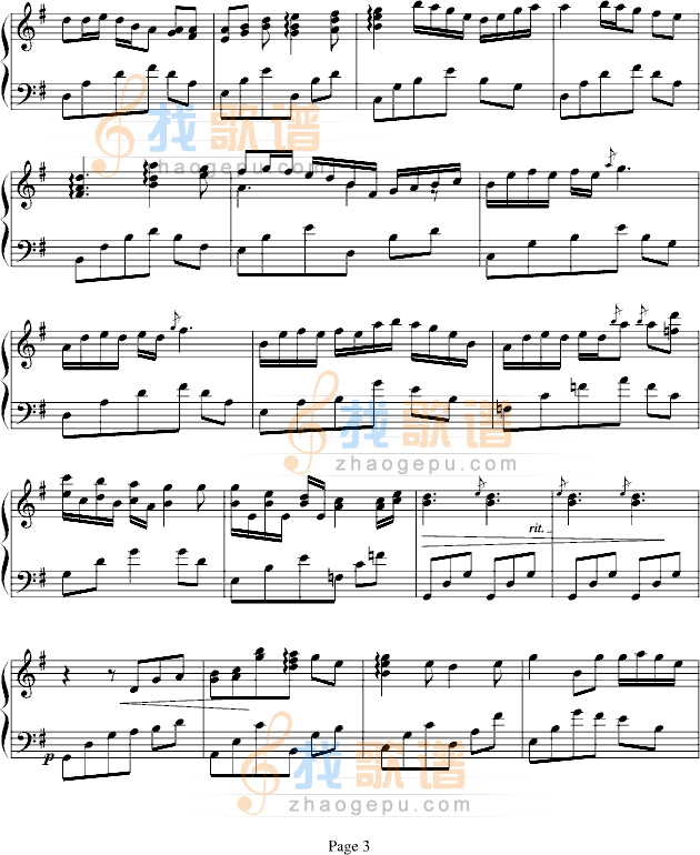 印象森林