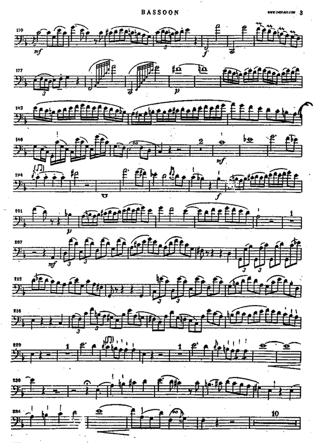 bassoon
