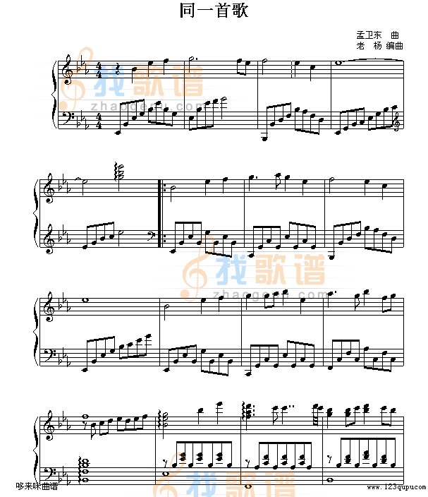 同一首歌-毛阿敏