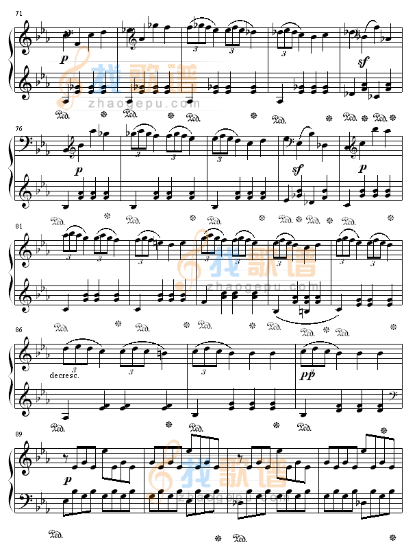 悲怆奏鸣曲第一乐章