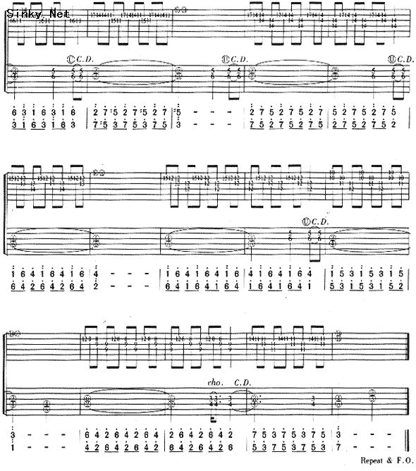 hotel california(4)