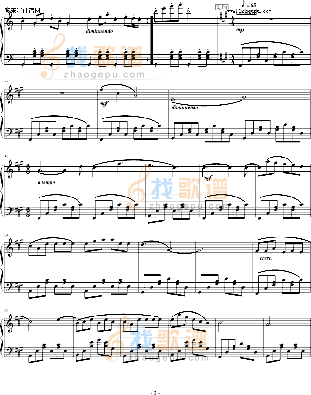 爱NO.1 白玫瑰爱的乐章-jerry5743