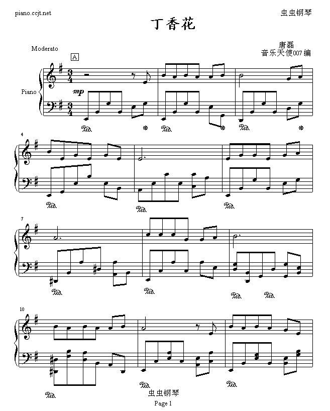 丁香花