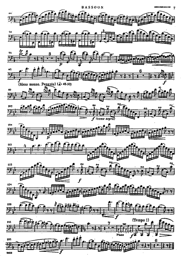 bassoon