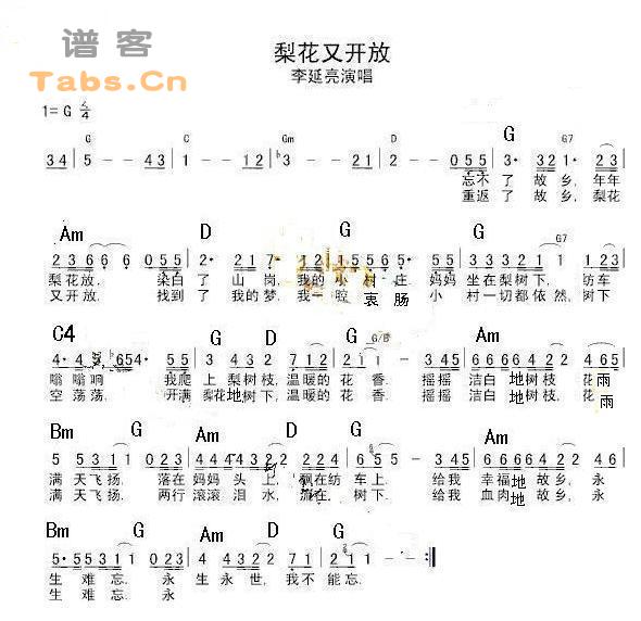 梨花又开放