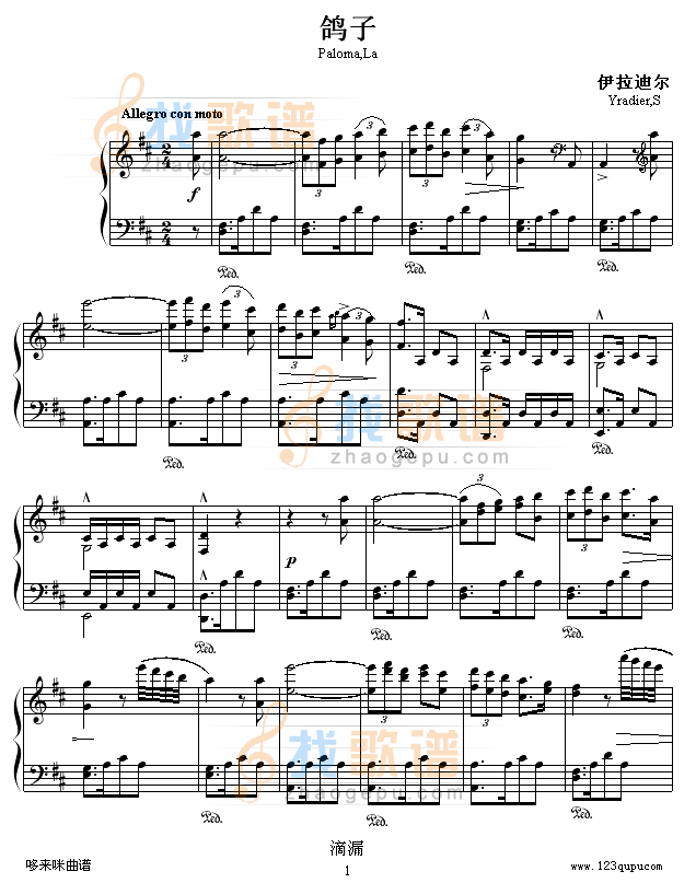 鸽子-伊拉迪尔