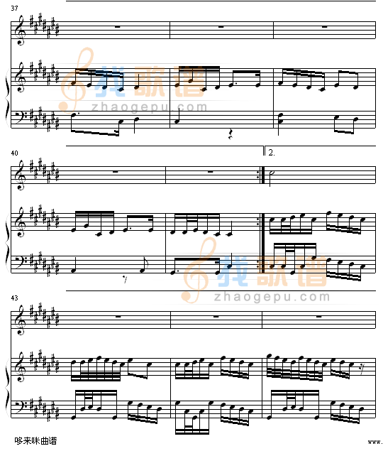 香水百合-张韶涵