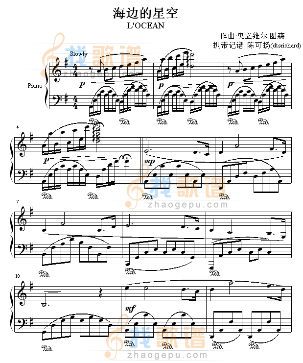 海边的星空