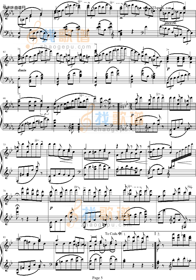 蓝色多瑙河-Schulz-Evler改编-约翰·斯特劳斯