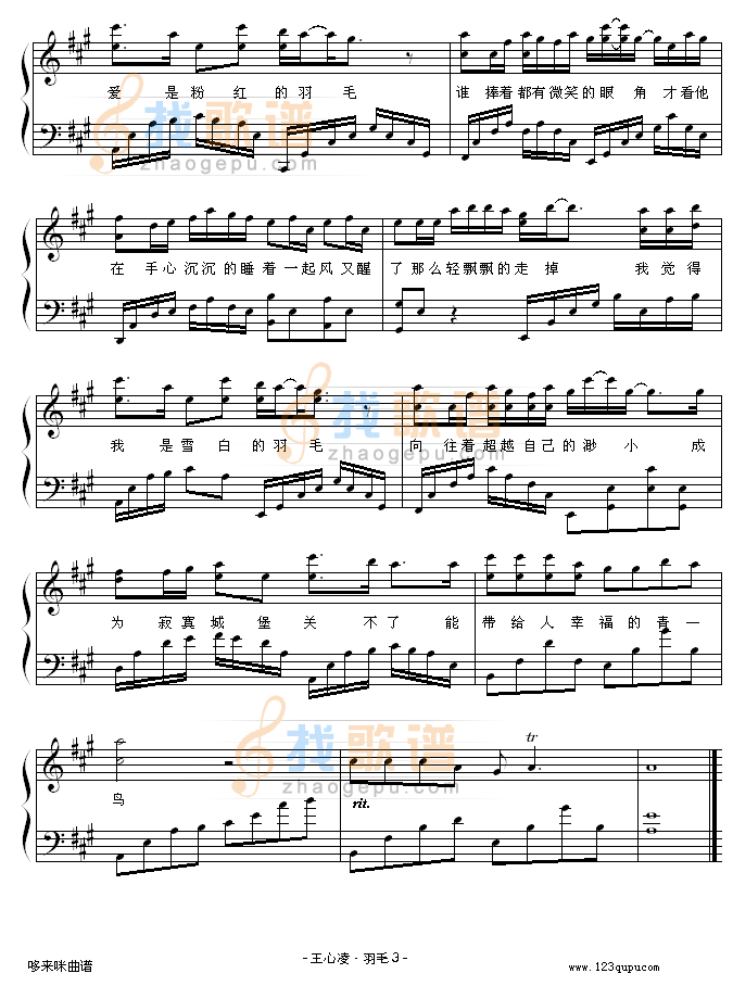 羽毛-演奏版-王心凌