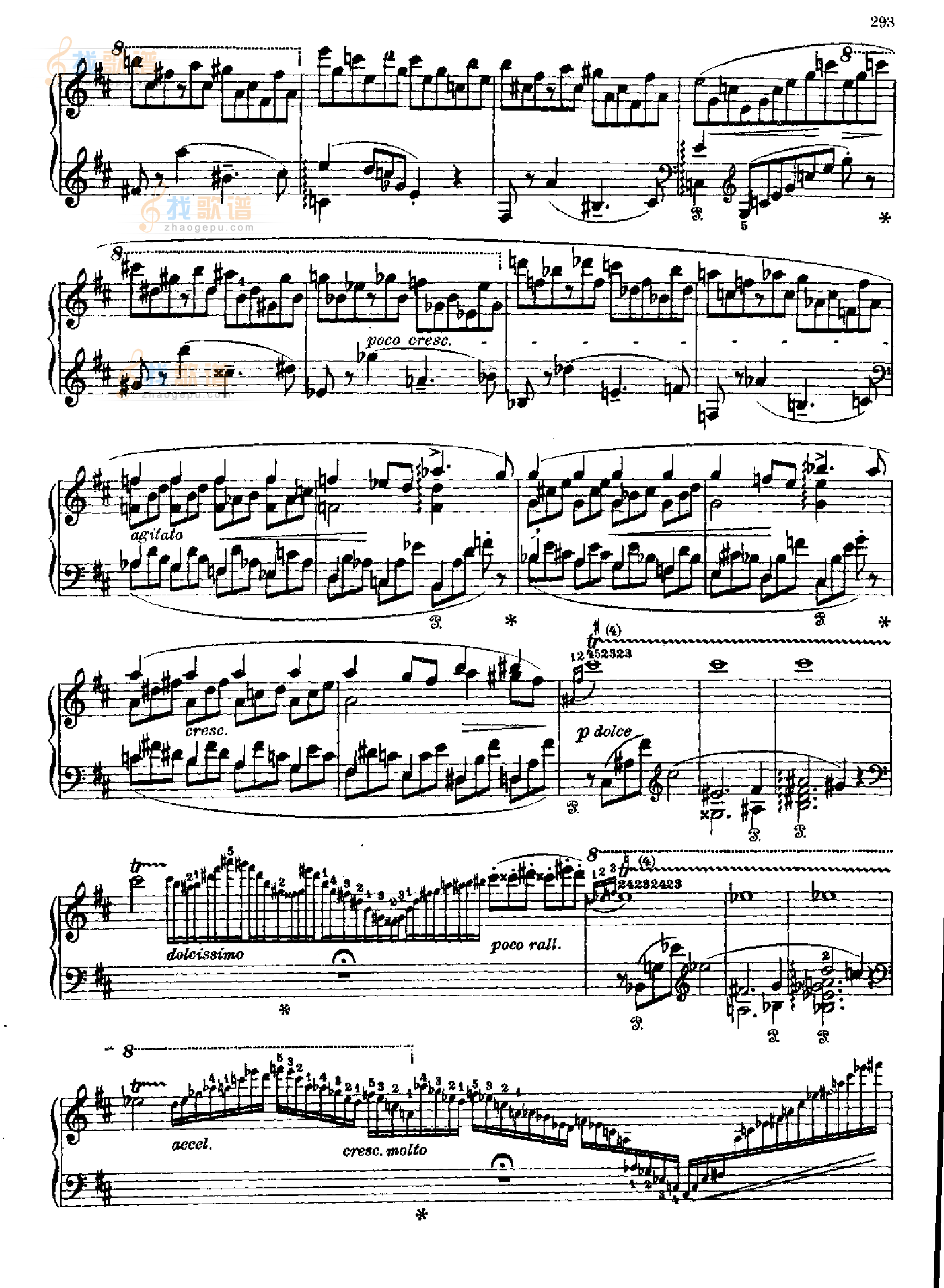 奏鸣曲