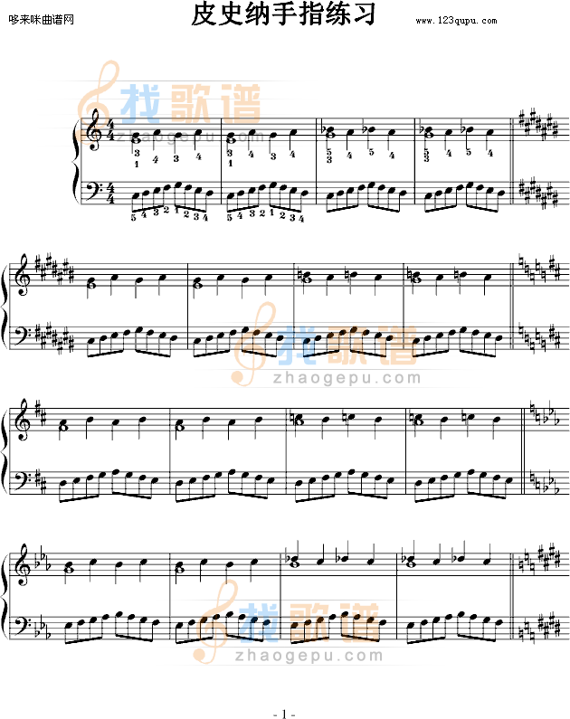 皮史纳手指练习-皮史纳