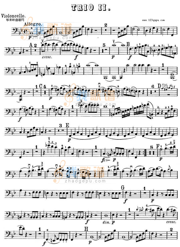 提琴三重奏 第二首 降B大调 K.502之Cello TRIO