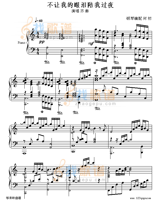不让我的眼泪陪我过夜-齐秦
