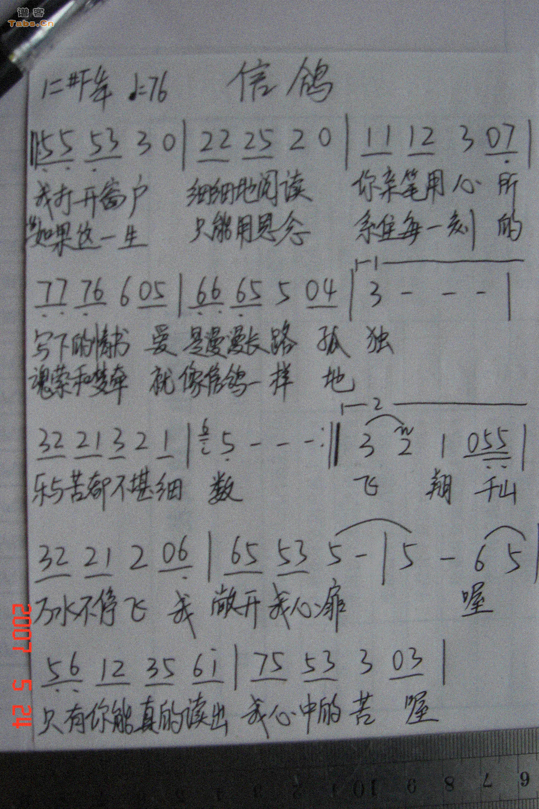 信鸽 手抄版	