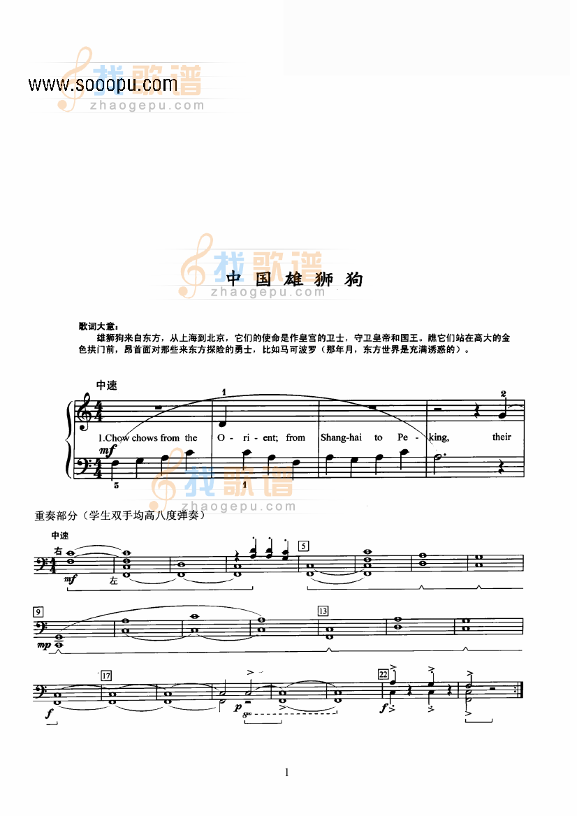 中国雄狮狗
