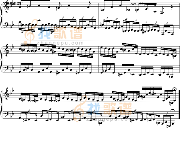 为什么-500yards