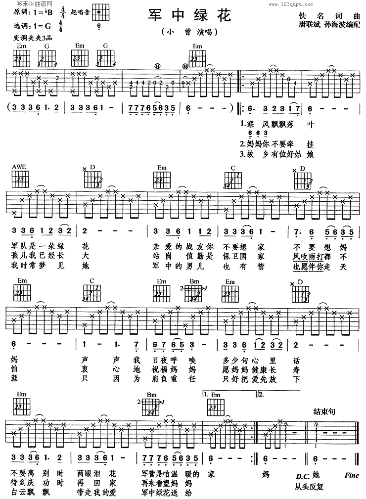 军中绿花(小曾)