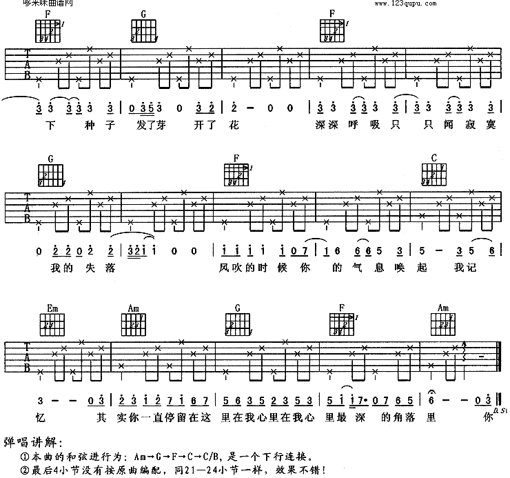 种子(羽泉)