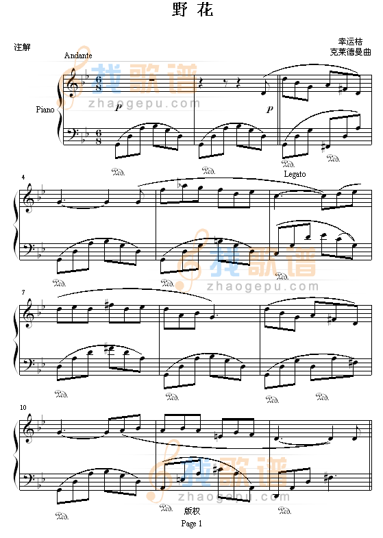 野花 - 幸运桔版