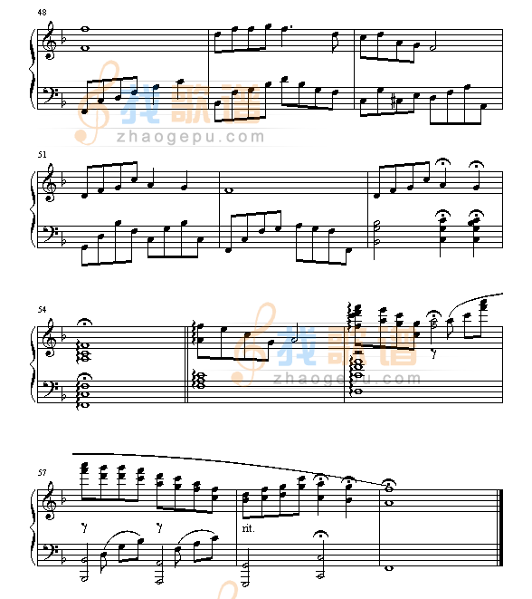 女人花