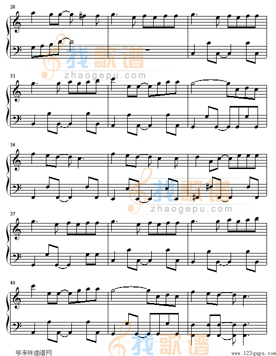 猫的报恩