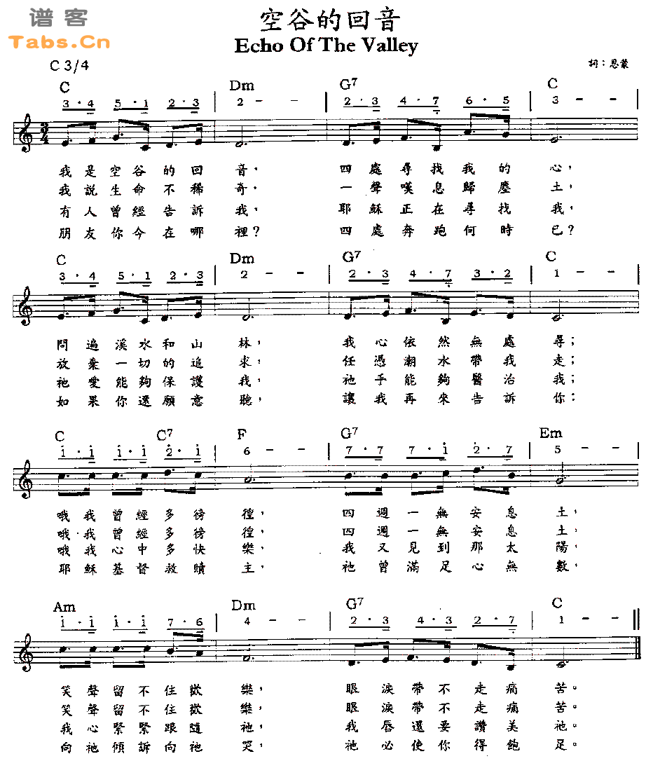 空谷的回音 	