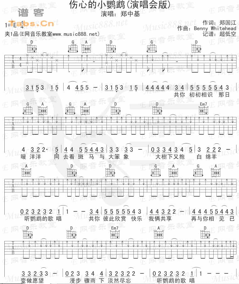 伤心的小鹦鹉 演唱会版