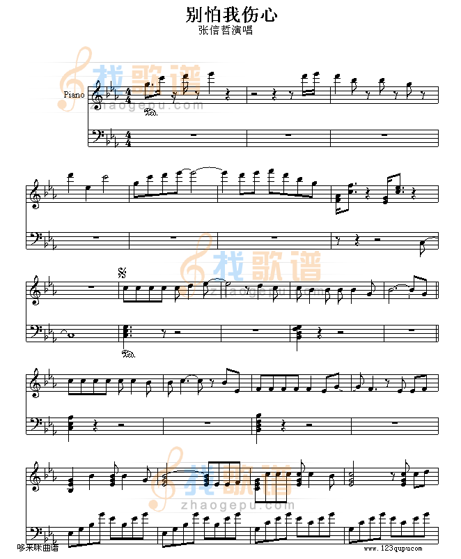 别怕我伤心-张信哲