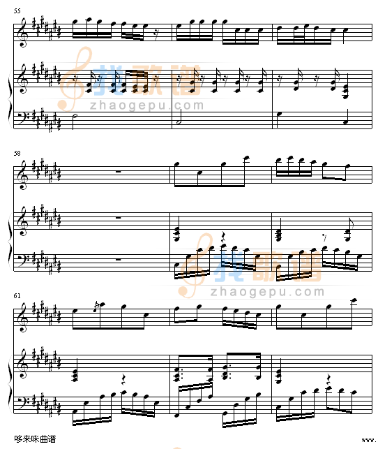 香水百合-张韶涵