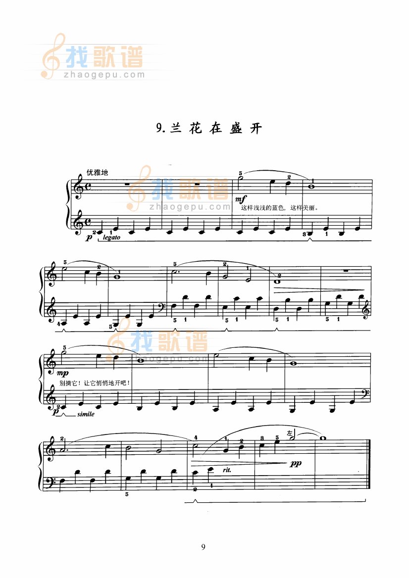 热带丛林中的一天