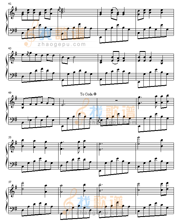 丁香花-唐磊