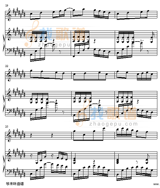香水百合-张韶涵