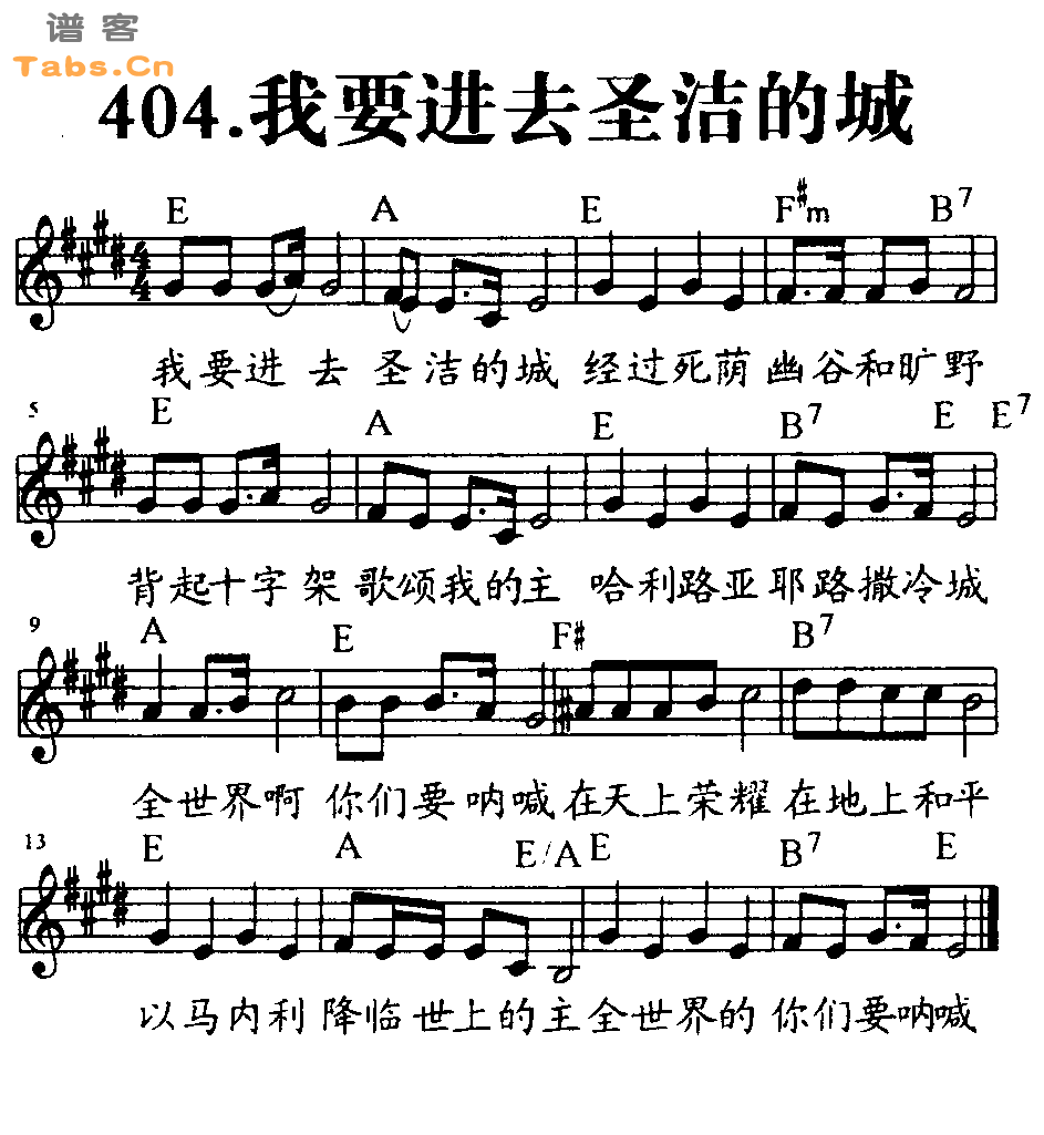 我要进去圣洁的城 	