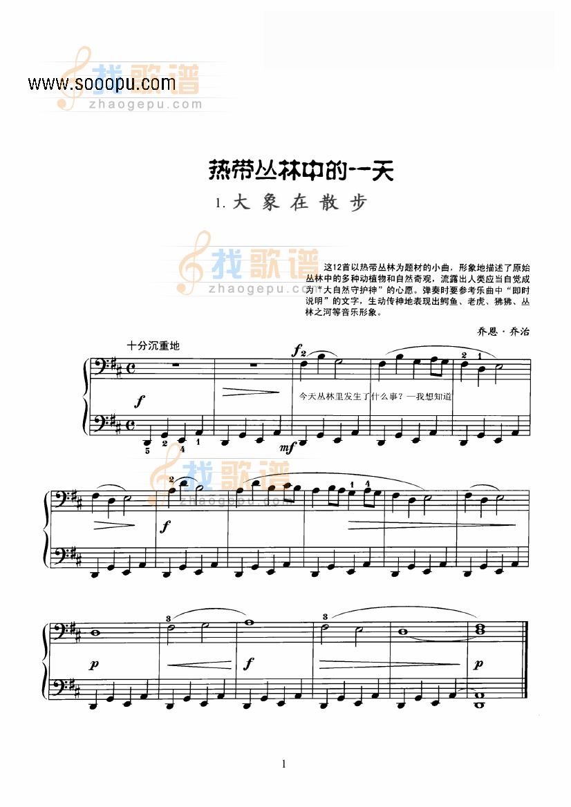 热带丛林中的一天