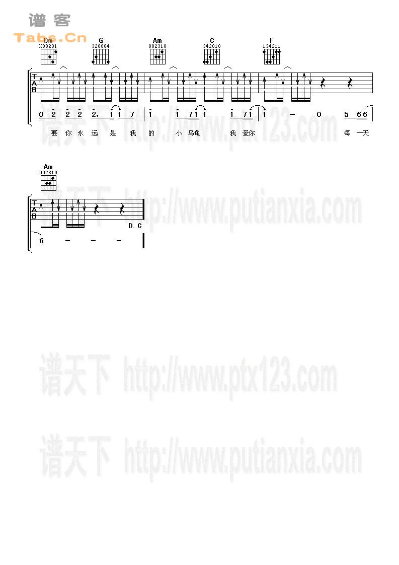 小乌龟 完美版	