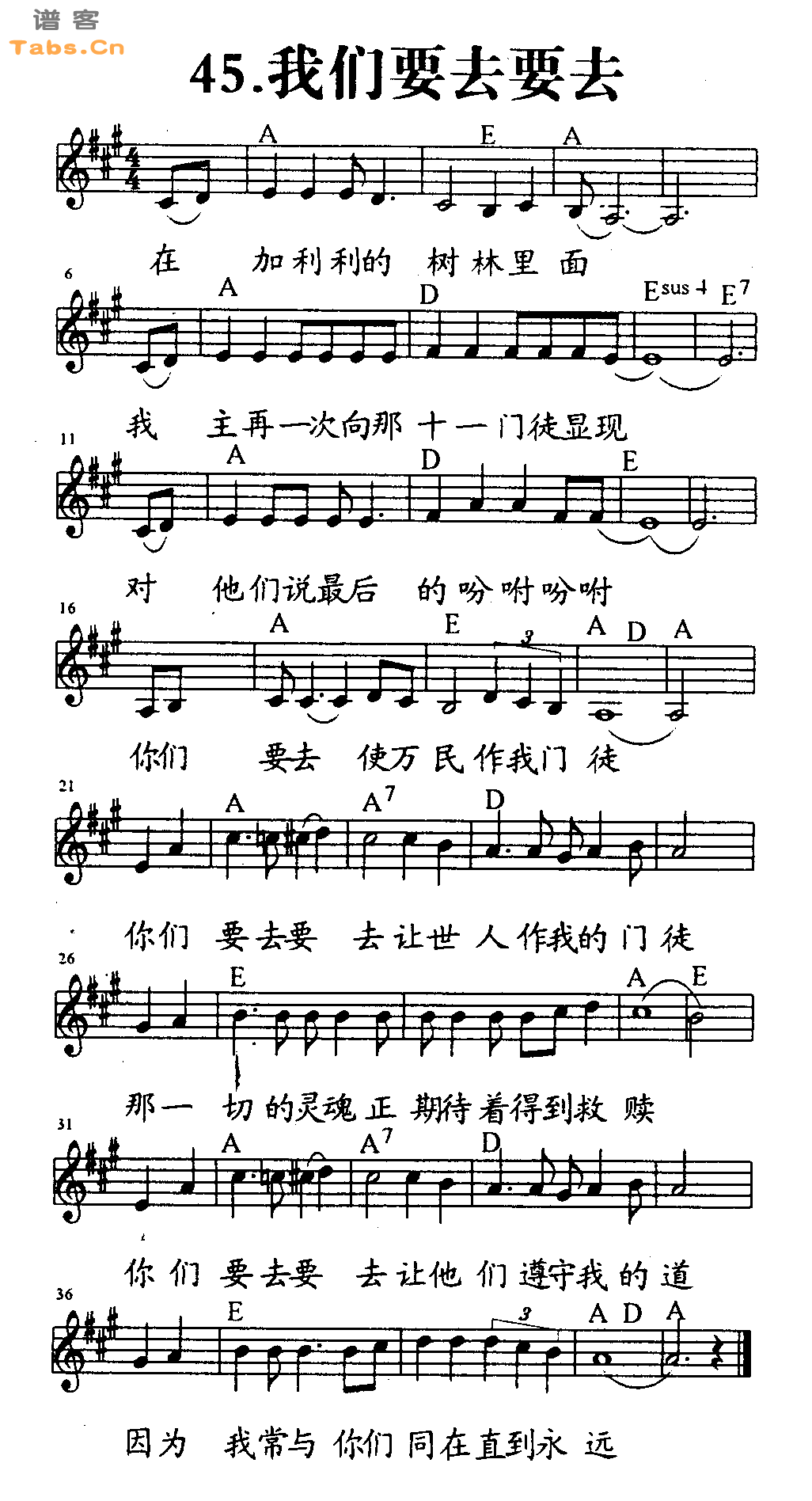我们要去要去 	
