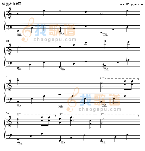 缘-屏竹